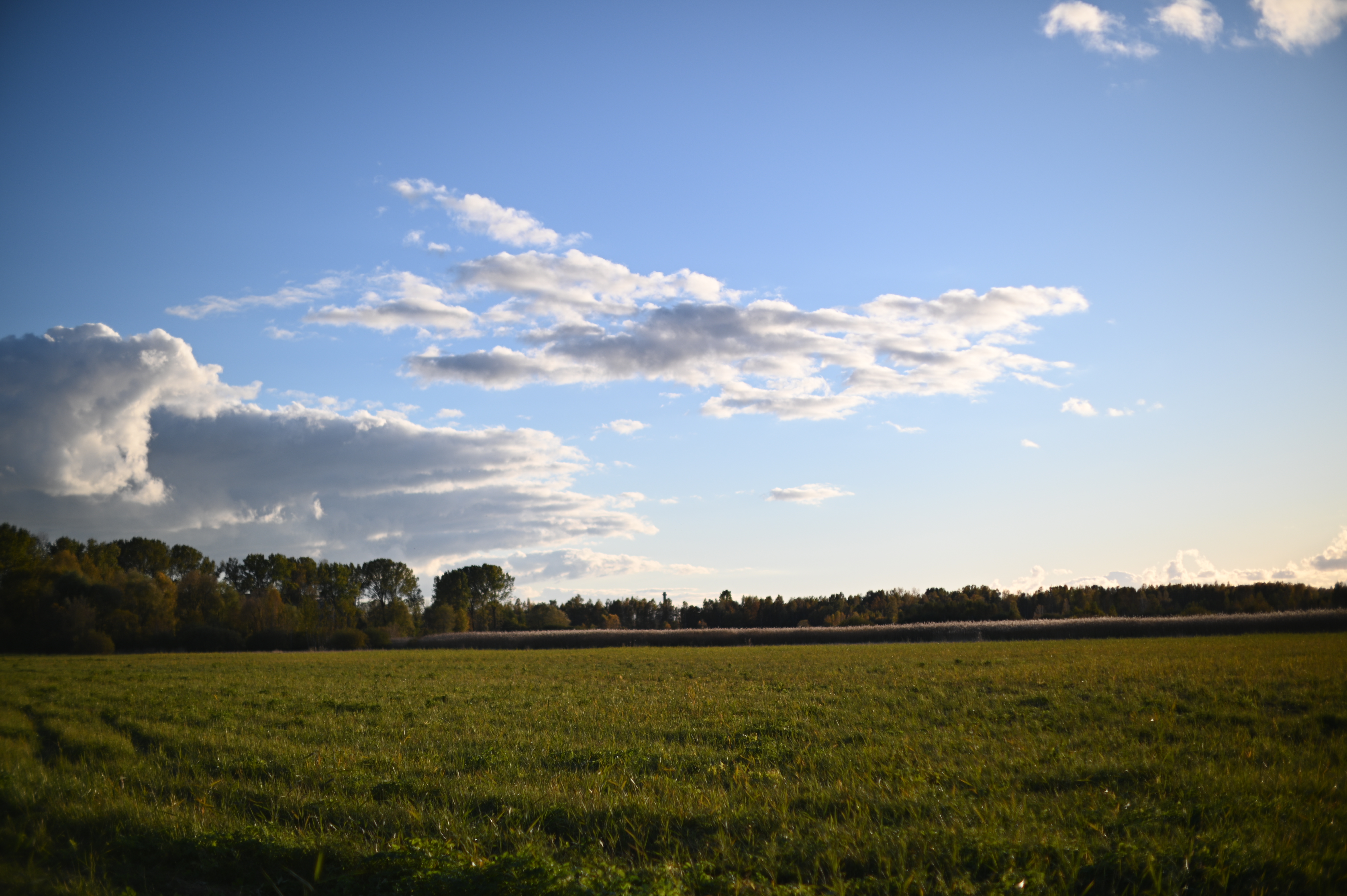 2025/10/18 - walk/DSC_0175.JPG